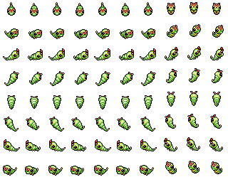 Caterpie